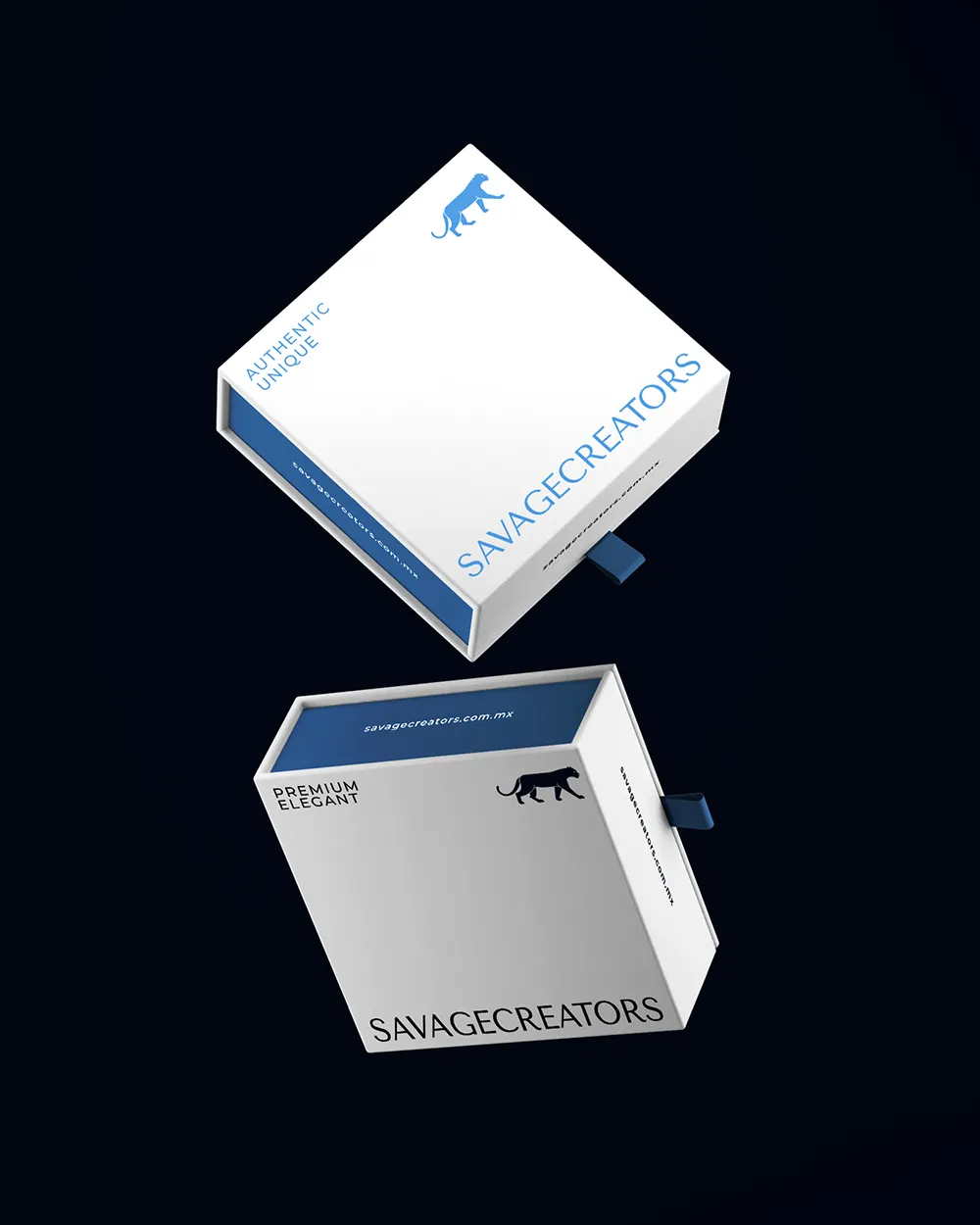 Diseño de Packaging